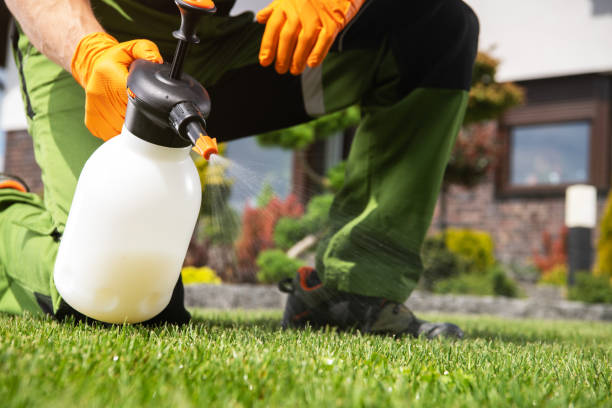 Best Best Pest Control Companies  in Britton, SD