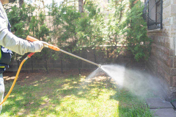 Best Best Pest Control Companies  in Britton, SD