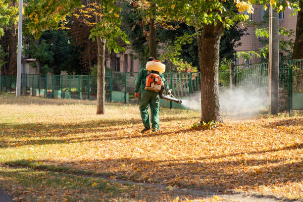 Best Affordable Pest Control Services  in Britton, SD